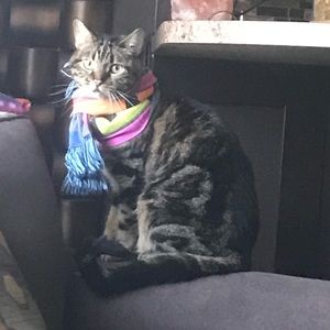 Meet your Posher, Jeremy